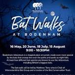 Bat Walks at Bodenham