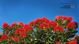 Pohutukawa Coast Jigsaw Puzzle Competition