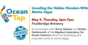 Ocean On Tap Speaker Series @ Footbridge Brewery