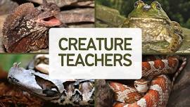 Creature Teachers