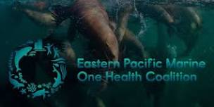 Eastern Pacific Marine One Health Coalition (Test event 1)