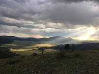 Jemez Mountain Trail Runs