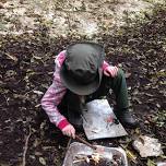 Forest School Activity Day 8yrs+