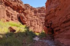 Moab Private Summer Stream Hike: Unexplored Canyon Adventure