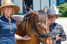 Horseback Riding Lessons Tour