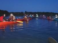 Kayak Kids Bioluminescent Paddle