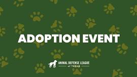 PetSmart (Stone Ridge) Adoption Event