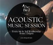 Acoustic Music Night