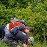 Forage and Cook - Shropshire