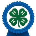 Blue Ribbon 4-H Club