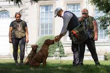 Ben Randall Beggarbush Gundog Training Day