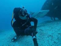 Diving Adventures of the St. Clair River