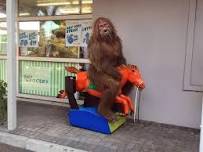 Sasquatch Ride 2024