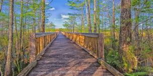 Boardwalk Hike (Free!): Guided Walking Tour