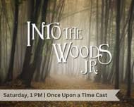 Into the Woods Jr.