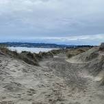 PRIDE Beach Cleanup