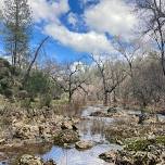 Preserve Restoration Day