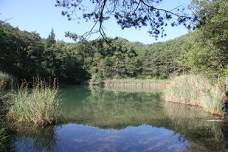 Fete de la Nature: Fascinating waters in the Pfyn Forest