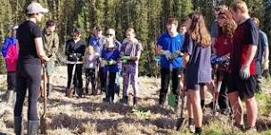 Mahurangi Land Restoration Programme - Te Muri Regional Park Planting Day