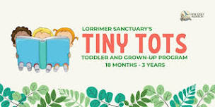 Tiny Tots Mini-Mester