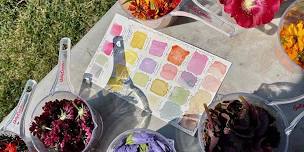 Allen Centennial Garden Summer Workshop: Plant-based watercolors