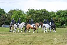 Formation Riding clinic at Pine Lodge School of Classical Equitation