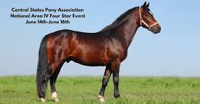 Central States Miniature Horse and Pony Show