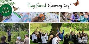 Tiny Forest Community Event at Southall Rec Ground, Ealing