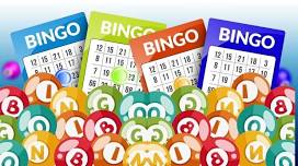 Bingo Benefit for Sophia Gibb