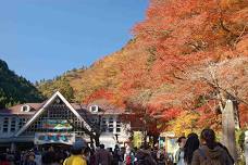 Mount Takao Autumn Leaves Festival 2024