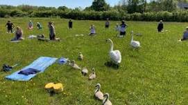 Wild yoga at Rainton Meadows Nature Reserve