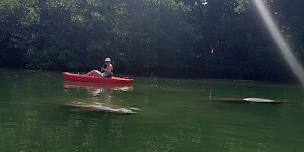 Biscayne Bay Guided Paddle Tour