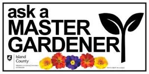 Ask a Master Gardener Clinic – Camano Island