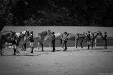 Lucky Stars Equine Club Open Horse Show