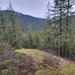 Salmon River Canyon Overlook