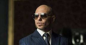 PITBULL Ridgedale