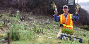 Presidio Habitat Stewards