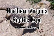 Northern Virginia Reptile Expo - Fredericksburg