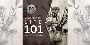 Drawing from Life 101 with Emma Sudak