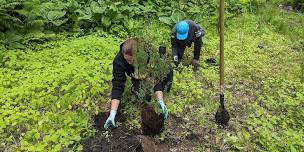 Arboretum Volunteer Session