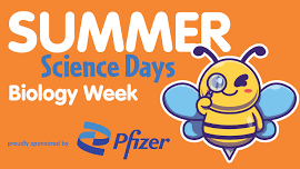 Summer Science: Biology Week