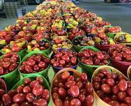 Iowa City Farmers Market