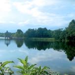 [Bird Walk] Luther Goldman Birding Trail at Lake Artemesia — Prince George's Audubon Society