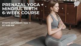 Prenatal Yoga & Mindful Birth Course