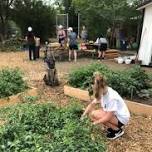 Kids Club at Edmonton Urban Farm