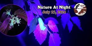 Nature at Night