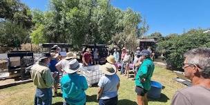 Mingenew Wicking Garden Bed Workshop