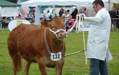 Goosnargh & Longridge Show