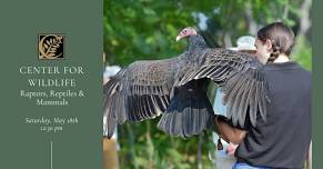 The Center for Wildlife Presents: Raptors, Reptiles & Mammals