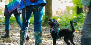 Rainbow Pooch in the Park / Rainbow Pooch yn y Parc  (Cardiff and the Vale)